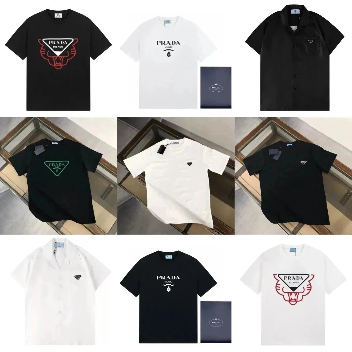Youthful and fashionable high street trend short sleeves
